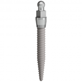 C-Tech IAB Dental Implant
