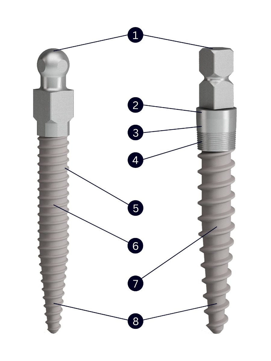 Small Diameter C-Tech Implants - Features