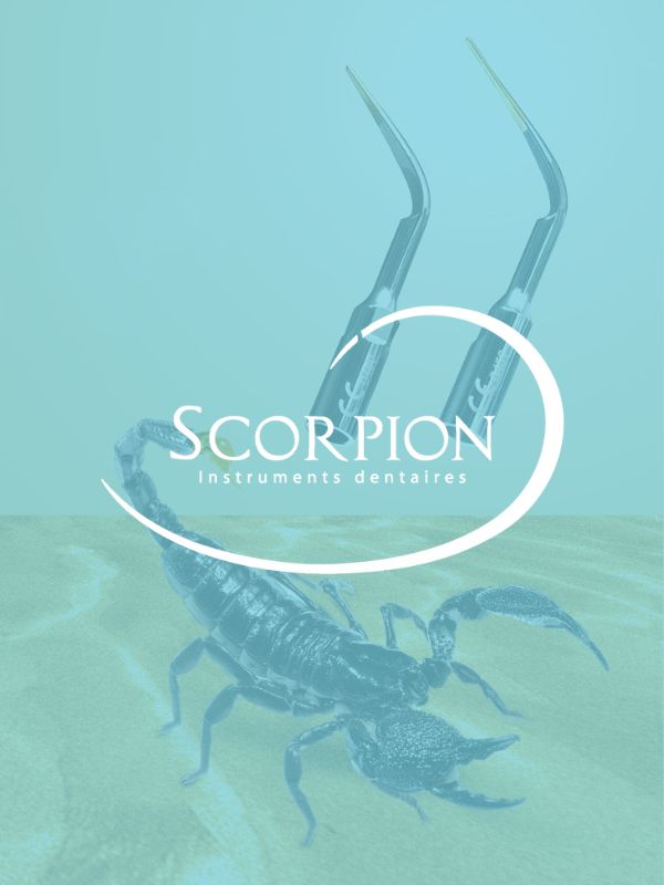 Scorpion